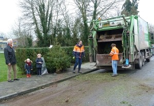 De vuilniswagen haalt kerstbomen op