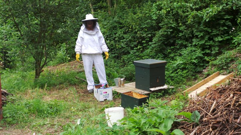 In imkerpak aan de slag in de bijenkast