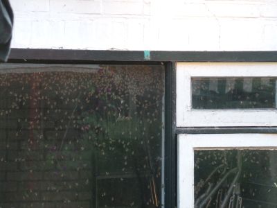Een schuur vol bijen