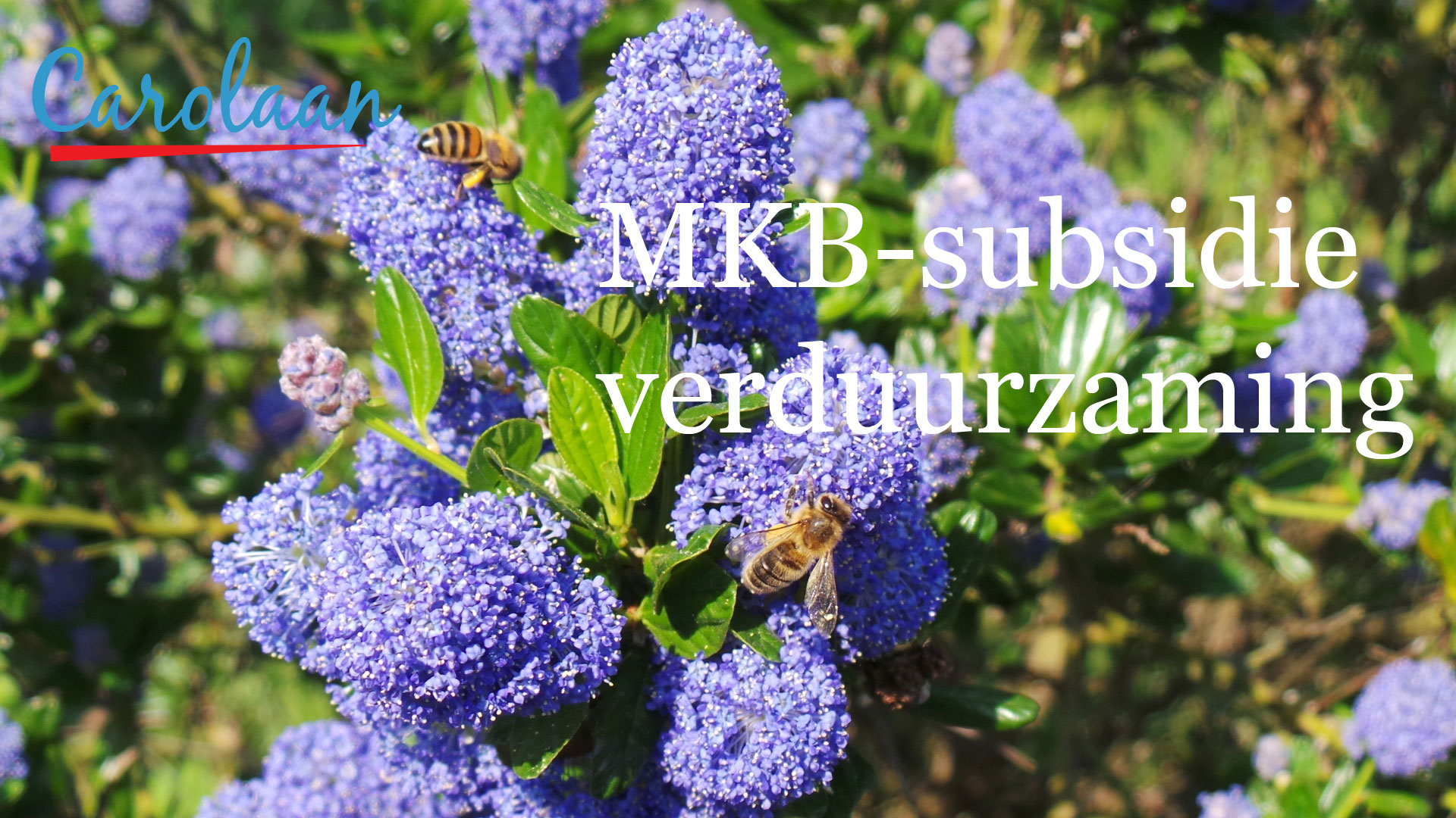 Subsidie voor verduurzaming MKB